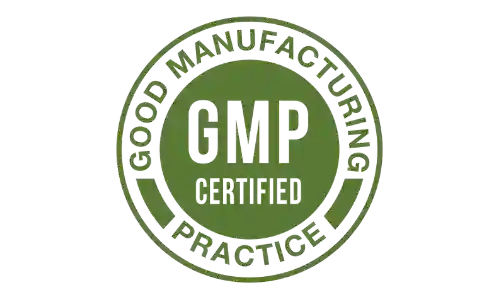 critical t gmp certified